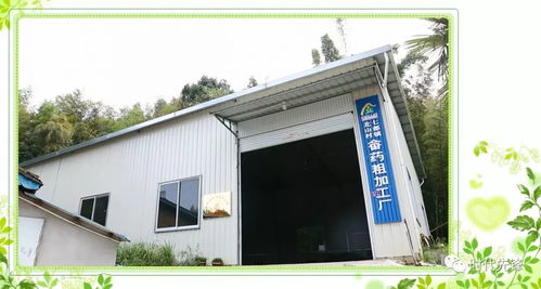 福建這里遍地皆靈藥 畬藥粗加工廠 畬藥展陳館
