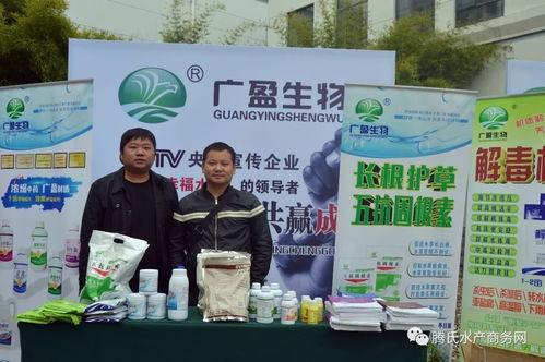 近600人參會大部分是經(jīng)銷商,榮譽(yù)和掌聲屬于他們